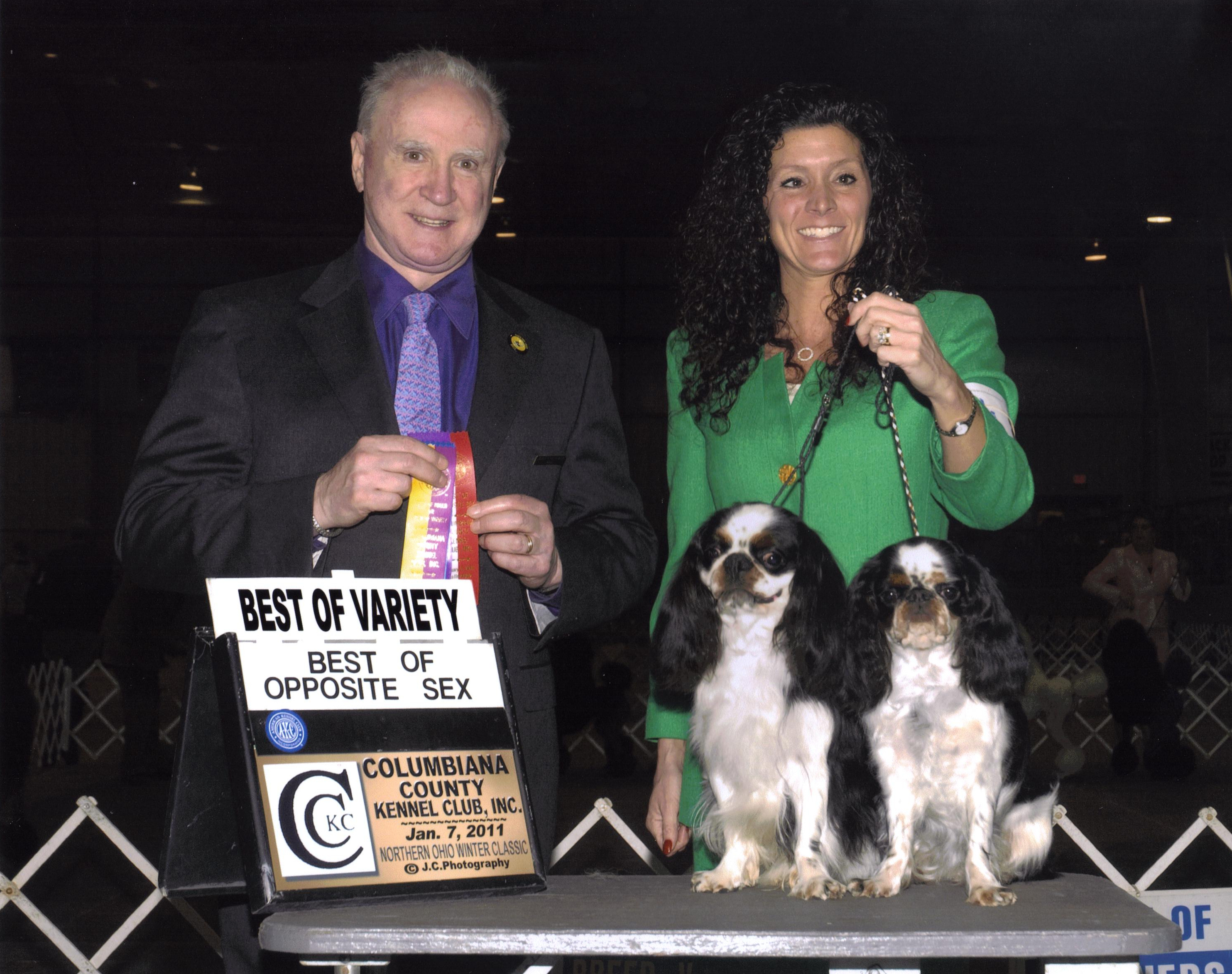 A wonderful win for dad and daughter under judge
Dr. Reeve-Newson. Winners dog and winners bitch also.