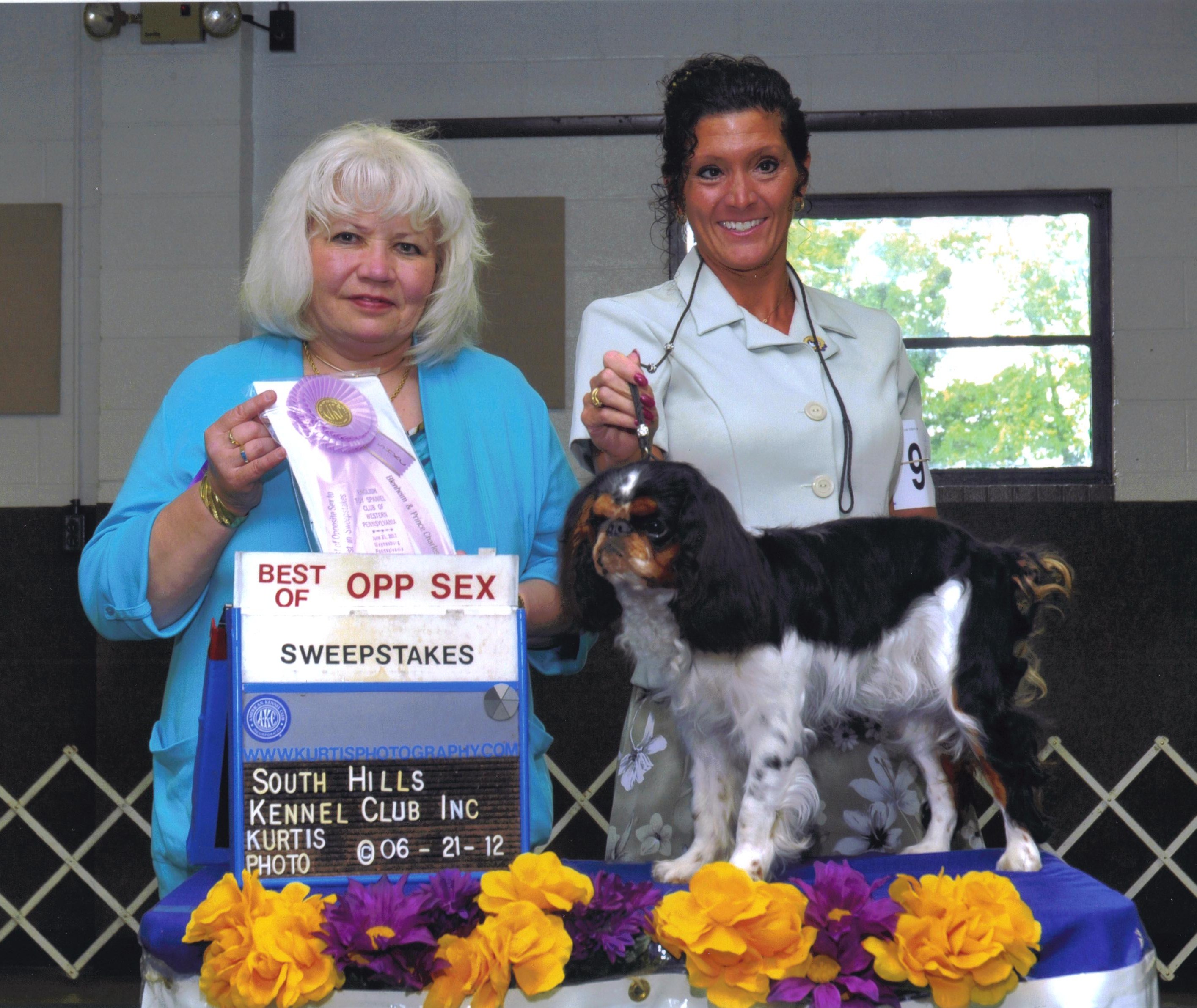 Griffin winning best of opposite in sweeps under judge Joyce M. Davis at our club show in June